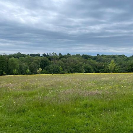 Meadow View Hotell Mayfield  Eksteriør bilde