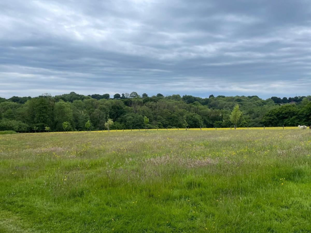 Meadow View Hotell Mayfield  Eksteriør bilde